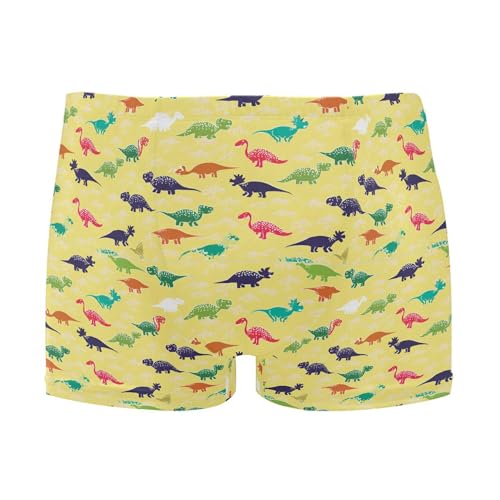 Dinosaur Dino Mens Swim Trunk Swimwear Bathing Suit Swim Brief Square Leg Board Short S B0405252