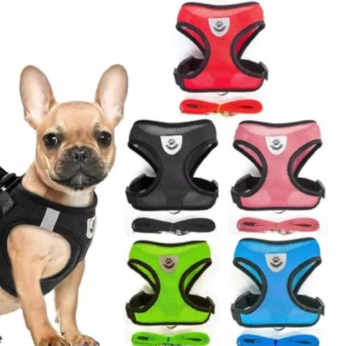 COLETE Peitoral Refletivo Ajustável Pet para Cachorro e Gato Passeio Seguro com Guia (PRETO, M)