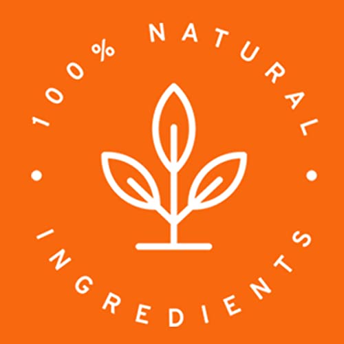 Shangri-La Tea Company Organic Tea Bags, Black Currant Decaf thumb #3