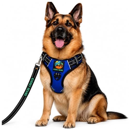 Image of Adjustable Padded Dog Harness with Leash, Blue, XL (36-60 kg)