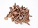 Price comparison product image fiXte® Copper Clout Nails Suitable for Roofing, DIY, Tree Stump Removal etc. Pack Weight: 95grams. (50mm x 3.35mm)