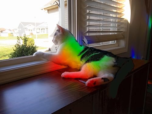 Image of Diffraction Grating Sheet - Do-it-Yourself Sun Catcher - Bring Rainbows Into Your Home