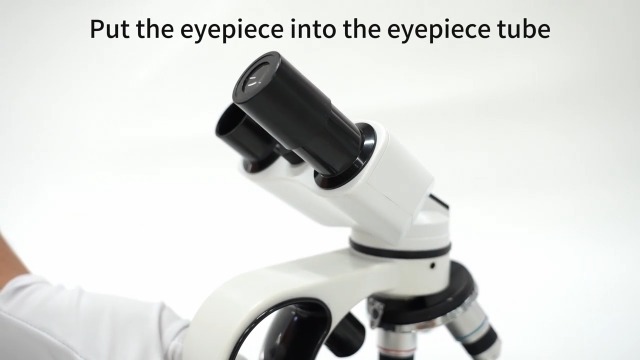 Amazon.co.jp: Sedumic 複合型双眼顕微鏡 40X～2000X LED照明顕 XY軸