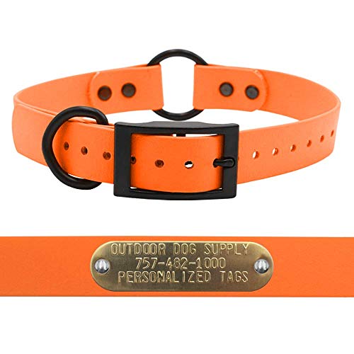 How To Use Center Ring Dog Collar