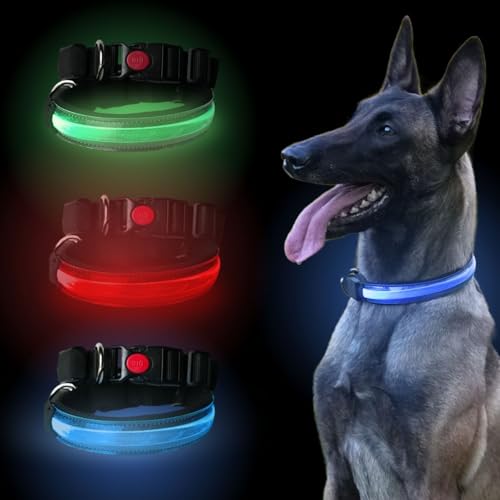 PETTY Collare Luminoso per Cani REGOLABILE LED - Collarino TRASPIRANTE RICARICABILE Usb, Chiusura Regolabile e Bottone di Sicurezza Antistrozzo - Cani Taglia Piccola Media e Grande S rosso