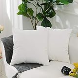 HOME BRILLIANT 2 Pack Ultra Soft Velvet Solid Decorative Toss Throw Pillow Cover for Couch Bed Chair, 18x18 inches(45x45cm), White