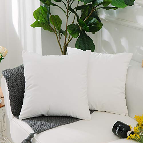 Home Brilliant 2 Pack Ultra Soft Velvet Solid Decorative Toss Throw Pillow Cover for Couch Bed Chair, 18x18 inches(45x45cm), White