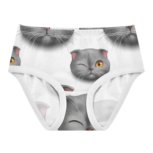 Joisal Aesthetic Toddlers Underwear Floral 2t Cotton Cute Panties Girl Cute Grey Scottish Fold Cat Briefs Underpants