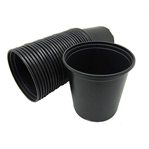 BIO BLOOMS AGRO INDIA PRIVATE LIMITED Plastic Nursery Pot, Black, 4 in, 5 Pieces (B07LFB5XPX) Amazon Price History, Amazon Price Tracker