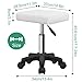 FURWOO Rectangle Rolling Stool with Wheels Height Adjustable Swivel Stool Chair for Spa Salon Massage White