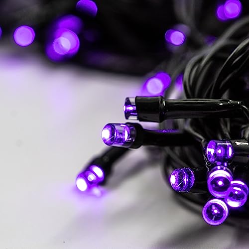 Cordão Pisca Led Roxo Haiz 8 Mts Enfeites HZ-300029 (220)