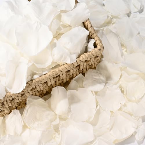 Pétalos de rosa seca natural blancos 3.53 oz 380 pcs miniatura 1