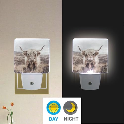 Image of Highland Cattle Cow Mountain Night Lights 2 Pack Plug-in Wall Led Nightlight Auto Dusk-to-Dawn Sensor Lamps for Bedroom Kitchen Bathroom