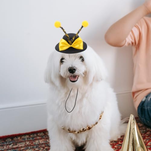 Disfraz abeja para perro pequeño y mediano miniatura 2