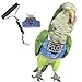 Bird Flight Harness Vest, Parrot Flight Suit with Leash, Bird Flying Clothes with Rope and Handle for Outdoor Activities (with Leash,Sun Conure)
