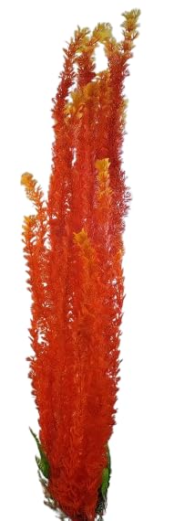 Décoration pour aquariums et grands bassins avec algues artificielles 80cm