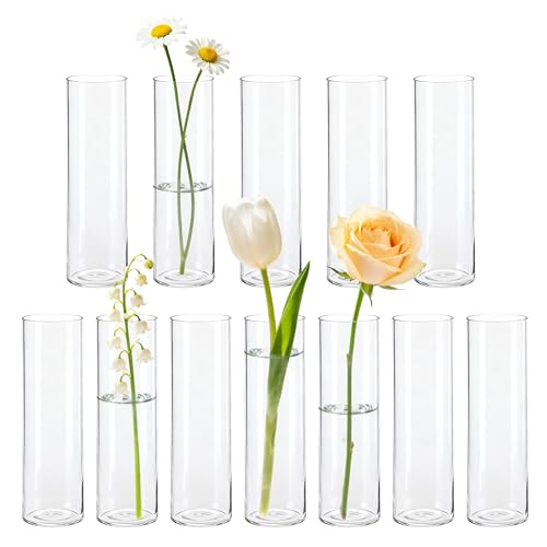 BTSD-home 12 Stück Zylinder Glasvase Set als Kleine Vasen für Tischdeko Vasen Klein Tischdeko Für Hochzeitsdeko Wohnzimmer Deko Party Deko Festtagsgeschenke