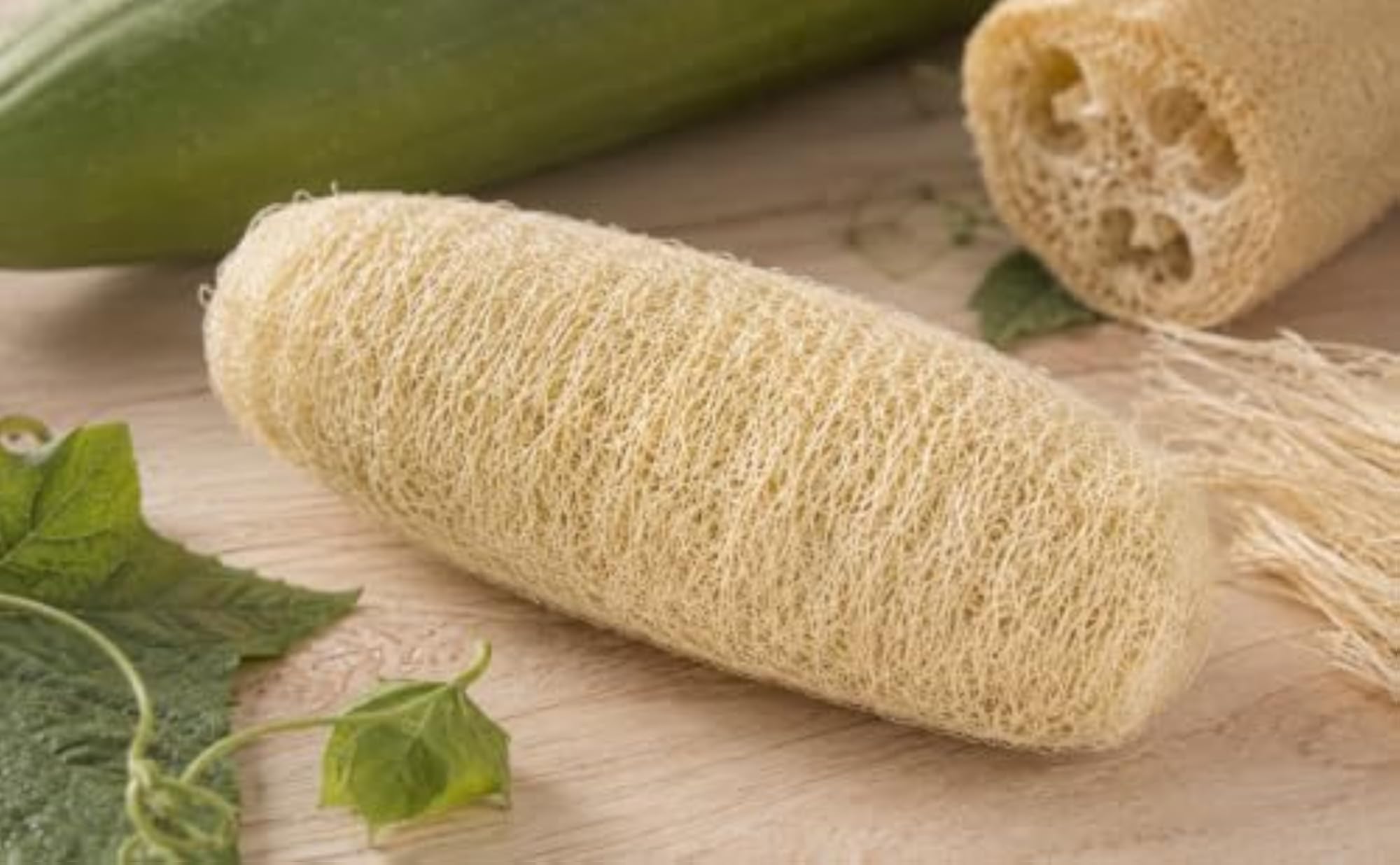 Natural Loofah Sponge Body Scrubber, Pack of 5