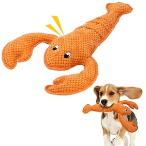 Dog Toy Squeaky Durable Chew Lobster Dog Toys No PP-Cotton,no Filling,no Stuffed for Small, Medium, Large Breed Dogs Interactive Hours of Fun Aggressive Toys