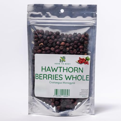 Herb To Body Hawthorn Berries Whole – 4oz Wildcrafted Crataegus monogyna, Organic Hawthorn Berry Dried for Herbal Tea and DIY Preparations