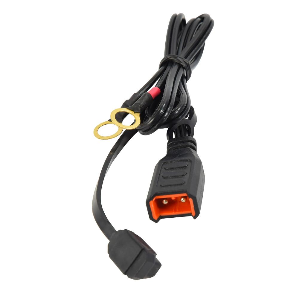 Best Caricabatteria da moto, mantenimento di carica 6 V/12 V