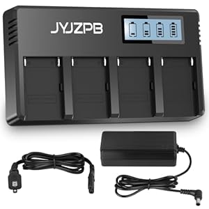 JYJZPB 4-Channel NPF Fast Charger for Sony Battery Charger NP-F970, NP-F550, NP-F570, NP-F750, NP-F770, NP-F930, NP-F950, NP-F960 Camera Battery with LCD Display