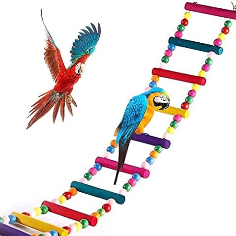 Papageien Leiter Vogelspielzeug, Bunte Papageienleiter Cover