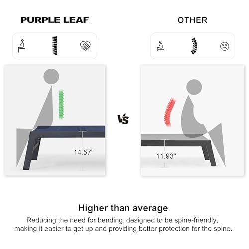 Image of PURPLE LEAF Outdoor Chaise Lounge Set of 2 Aluminum Patio Lounge Chair with Wheels and Side Table Pool Chaise Lounge Chair for Outdoor Backyard Poolside Navy Blue