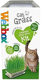 Webbox Cat Grass Kit 120g
