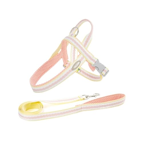 yʌpn[lX[hZbgb^bKtBbgbUEg[jOp (L,sN iЂƂ낢łj)