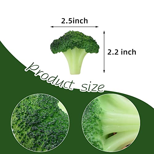 Hagao Fake Broccoli Slice Artificial Vegetables Broccolis Simulation Plastic Lifelike For House Kitchen Party Pub Decoration Cabinet Ornament 6 Pcs #TOP6