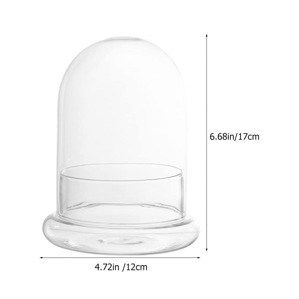 Cabilock Cloche en Verre décorative pour Plantes Terrarium Bougeoir Biosphère Succulentes Bonsaï Décoration de Table