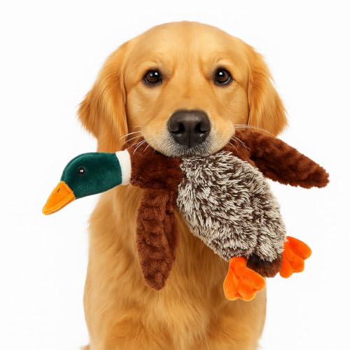 C^NeBu_bNhbOgC zLOXNC[J[t ? \tgvbV&NNEBO?^&^p̂ʂ݊ނ ? AtFb`&g[jOvC? 16C`}KfUC