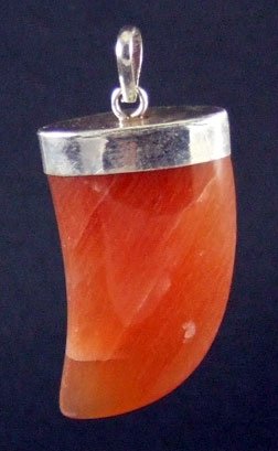 Healing Carnelian Claw Pendants