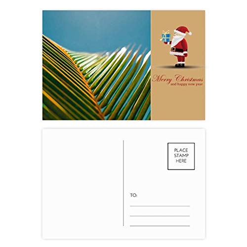 Cartes postales bleu ciel motif feuilles lot de 20 pour envoyer de la douceur