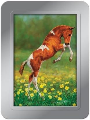 Tree-Free Greetings Dances with Daisies Deluxe Playing Cards, Multicolored (71005)