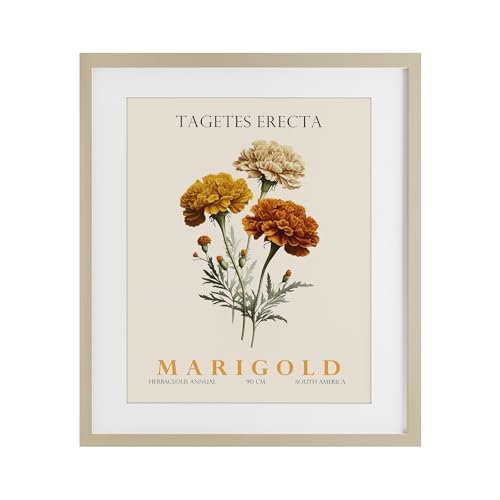 Natural Marigold Bundle Floral, 17 x 21 Inch Framed Print Under Glass