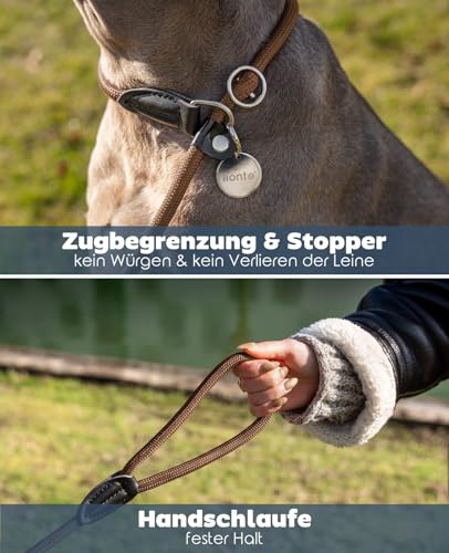 lionto Retrieverleine robust und wetterfest für Hunde Aller Größen, schnell anzulegende Hundeleine und Halsband in Einem, 170 cm, fellschonende Führleine mit integriertem Zugstopp, vegan, braun