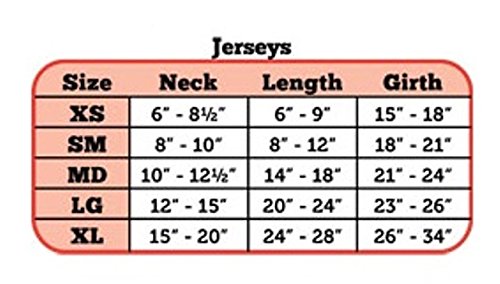 Image of Pets First Collegiate California Golden Bears Berkeley Dog Mesh Jersey, X-Small
