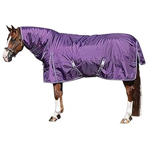 Horse Turnout Blanket | Attached Neck Cover | Heavy Weight – 380 Grams | Size 76 – Purple | 1200 Denier | Criss-Cross Surcingle | Waterproof, Windproof & Breathable