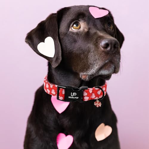 Image of Valentine's Dog Collar, UP URARA PUP Pink Heart in Red Adjustable Pet Collar with Bowknot Charm, Wedding Dog Accessories for Small Medium Large Dogs