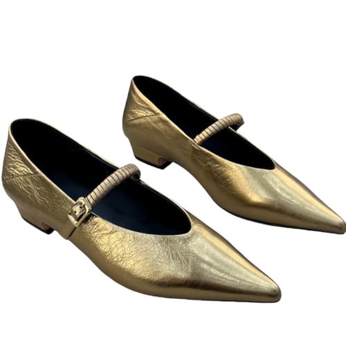 Metallic Style Pointed Toe Mary Jane Flats for Women with Side Metal Buckle Genuine Leather Shoes Low Heels&Low-Cut Comfort Casual Dressy Office Work2