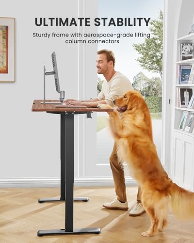 image for ErGear Height Adjustable Electric Standing Desk, 63 x 28 Inches Sit St