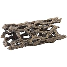 Exo Terra Cholla Cactus Skeleton, Medium