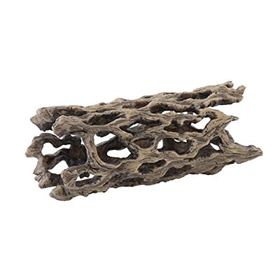 Exo Terra Cholla Cactus Skeleton, Medium