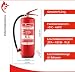 FireLoq 2X 6L Schaumlöscher 27A | 183B mit Prüfnachweis, Wandhalter und Manometer