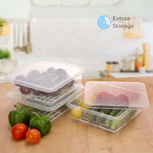 Image of KESI ORNAMENTS 2 pieces 2500Ml Fridge Storage Boxes With Removable Drain Plate And Lid Square Stackable Fridge Storage Containers Plastic Freezer Storage Containers For Fish, Meat, Vegetables(Clear)