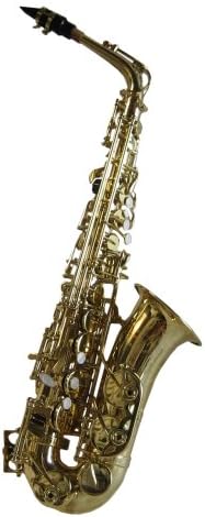 Hallelu HTS-300 Bb Tenor Saxophone W/pro Case 1 Year Warranty