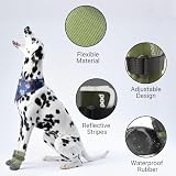 LiebeDD Hundeschuhe Pfotenschutz 4 Stück Hund Verletzung Leckschutz Hundesocken Anti Rutsch Hunde Schuhe Outdoor mit Wasserdicht Sohle, Grün, XL