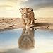 Keena 2PCS Realistic Lion Figurines with Lion Cubs, 2-10.6